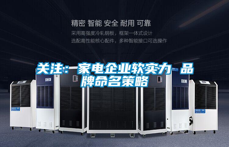 關注：家電企業軟實力 品牌命名策略