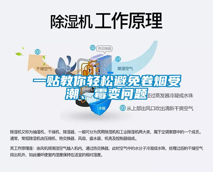 一貼教你輕鬆避免卷煙受潮、黴變問題