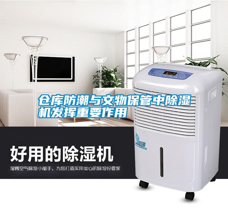 倉庫防潮與文物保管中草莓视频下载网址發揮重要作用