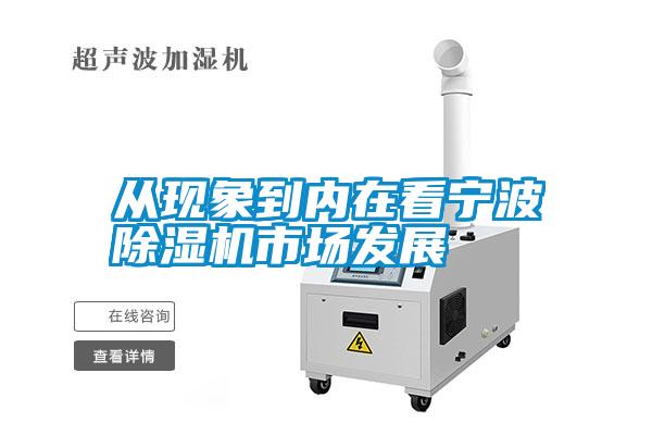 從現象到內在看寧波草莓视频下载网址市場發展