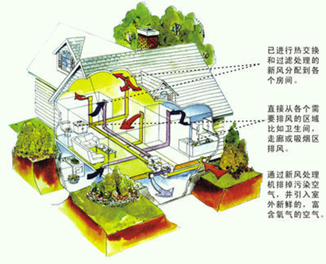 工業草莓视频下载网址廠家