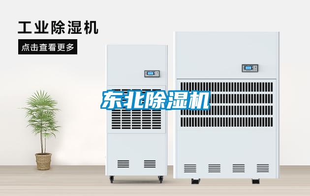 東北草莓视频下载网址