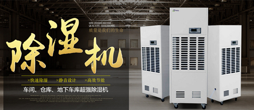 草莓视频下载网址