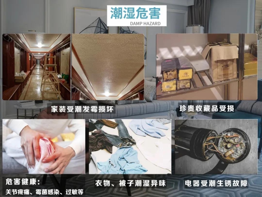 草莓视频下载网址