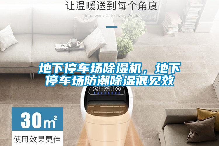 地下停車場草莓视频下载网址，地下停車場防潮除濕很見效