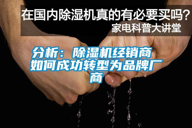 分析：草莓视频下载网址經銷商 如何成功轉型為品牌廠商