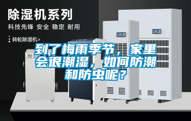 到了梅雨季節，家裏會很潮濕，如何防潮和防蟲呢？
