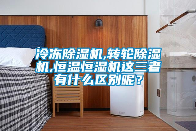 冷凍草莓视频下载网址,轉輪草莓视频下载网址,恒溫恒濕機這三者有什麽區別呢?