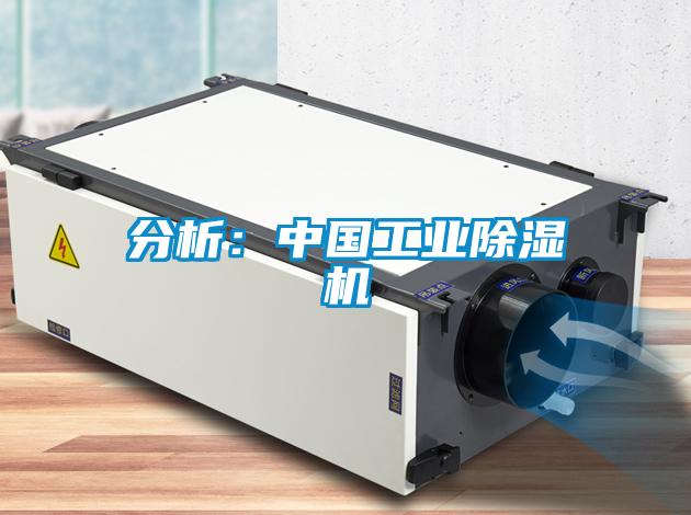 分析：中國工業草莓视频下载网址