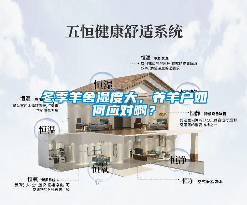 冬季羊舍濕度大，養羊戶如何應對啊？