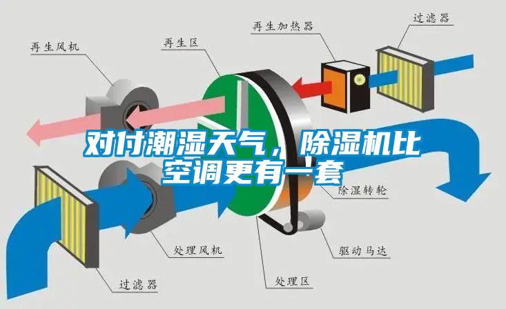 對付潮濕天氣，草莓视频下载网址比空調更有一套