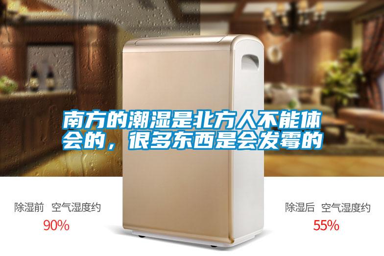 南方的潮濕是北方人不能體會的，很多東西是會發黴的