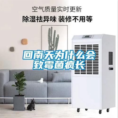 回南天為什麽會致黴菌瘋長
