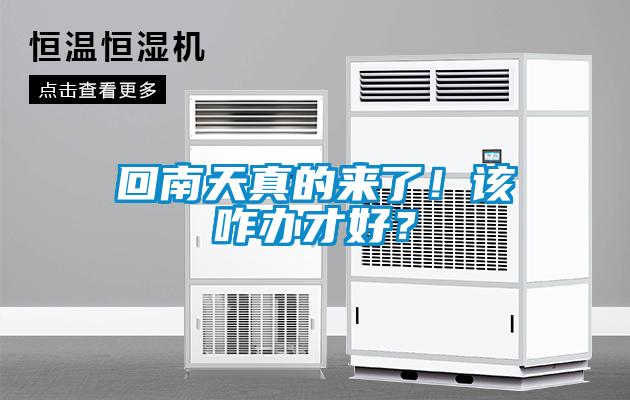 回南天真的來了！該咋辦才好？