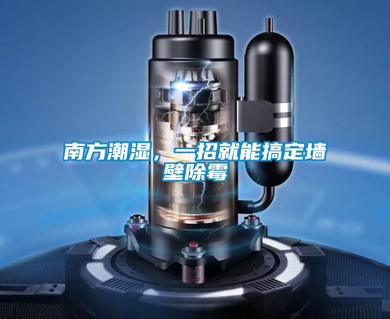 南方潮濕，一招就能搞定牆壁除黴