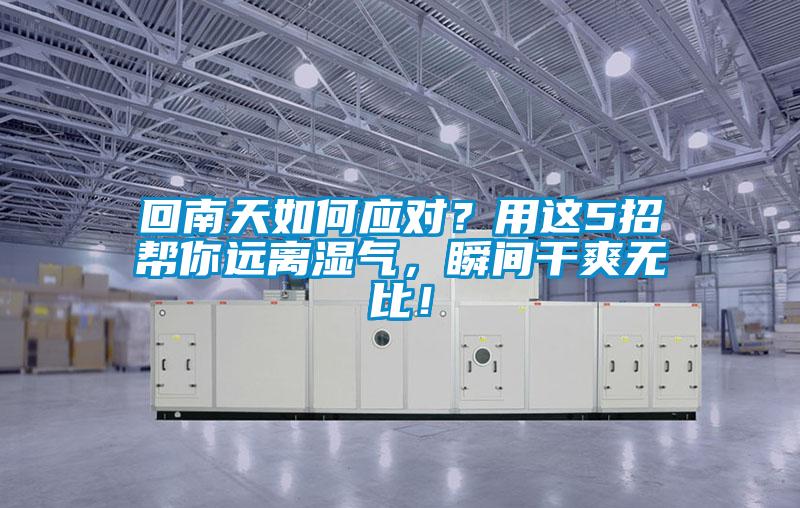 回南天如何應對？用這5招幫你遠離濕氣，瞬間幹爽無比！
