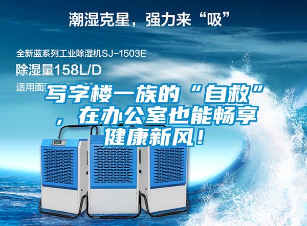 寫字樓一族的“自救”，在辦公室也能暢享健康新風！