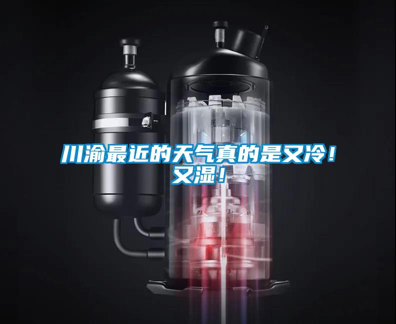 川渝最近的天氣真的是又冷！又濕！