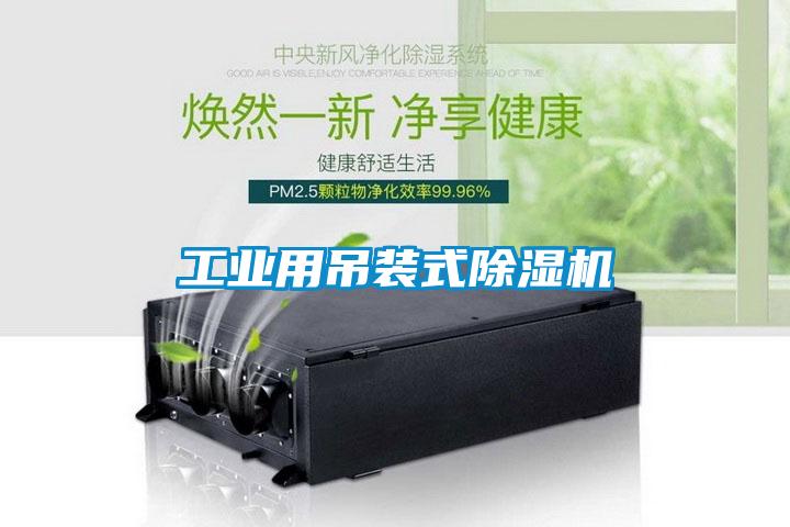 工業用吊裝式草莓视频下载网址