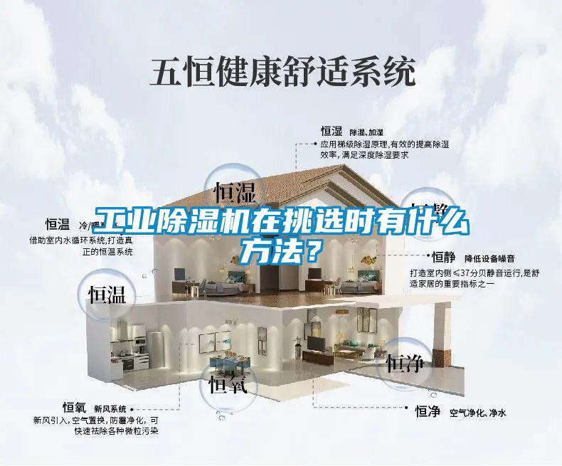 工業草莓视频下载网址在挑選時有什麽方法？