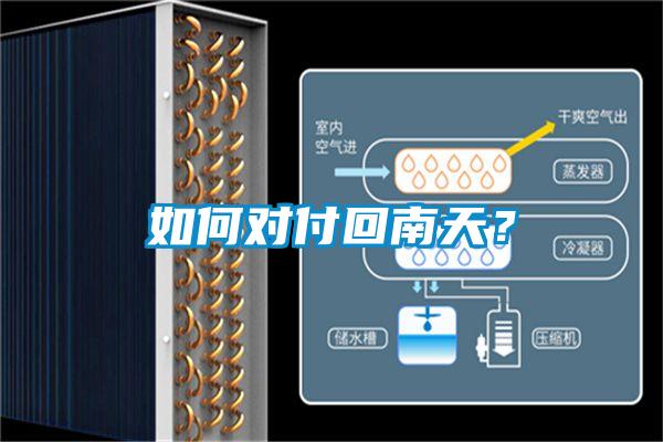 如何對付回南天？