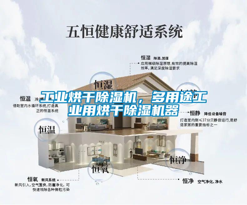 工業烘幹草莓视频下载网址，多用途工業用烘幹草莓视频下载网址器
