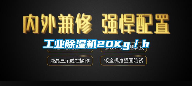 工業草莓视频下载网址20Kg／h
