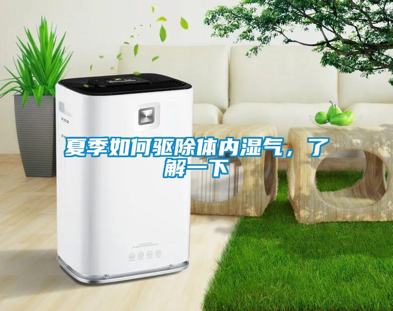 夏季如何驅除體內濕氣，了解一下