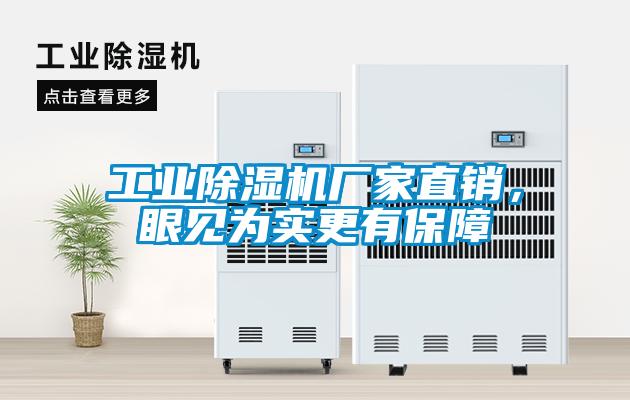 工業草莓视频下载网址廠家直銷，眼見為實更有保障