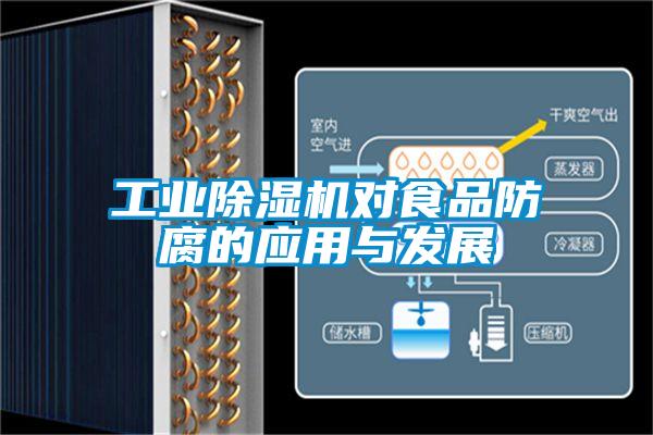 工業草莓视频下载网址對食品防腐的應用與發展