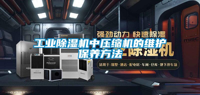 工業草莓视频下载网址中壓縮機的維護保養方法