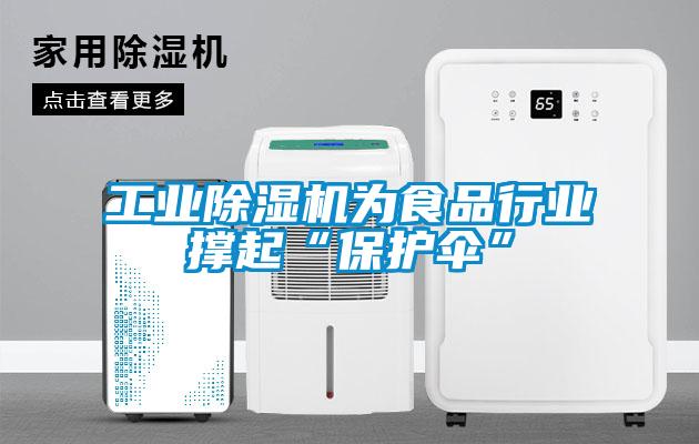 工業草莓视频下载网址為食品行業撐起“保護傘”