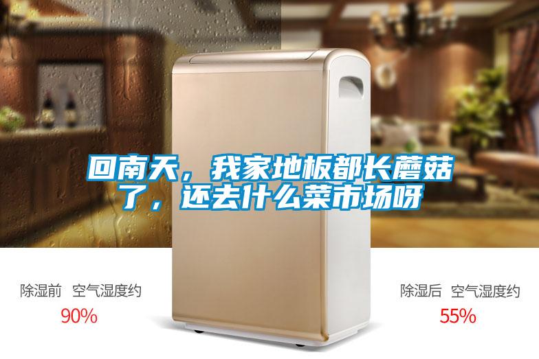 回南天，我家地板都長蘑菇了，還去什麽菜市場呀