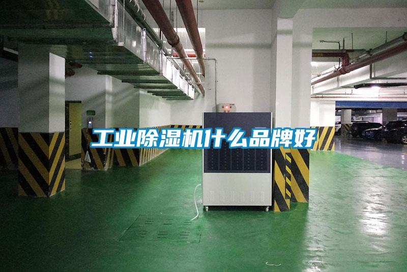 工業草莓视频下载网址什麽品牌好