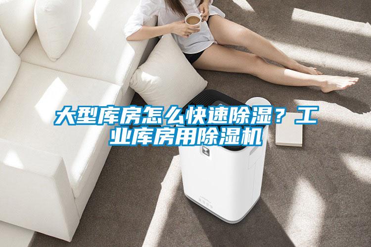 大型庫房怎麽快速除濕？工業庫房用草莓视频下载网址
