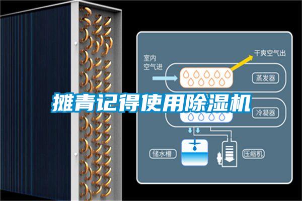 攤青記得使用草莓视频下载网址
