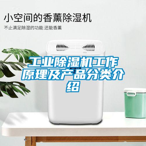 工業草莓视频下载网址工作原理及產品分類介紹