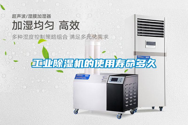 工業草莓视频下载网址的使用壽命多久