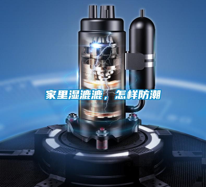 家裏濕漉漉，怎樣防潮