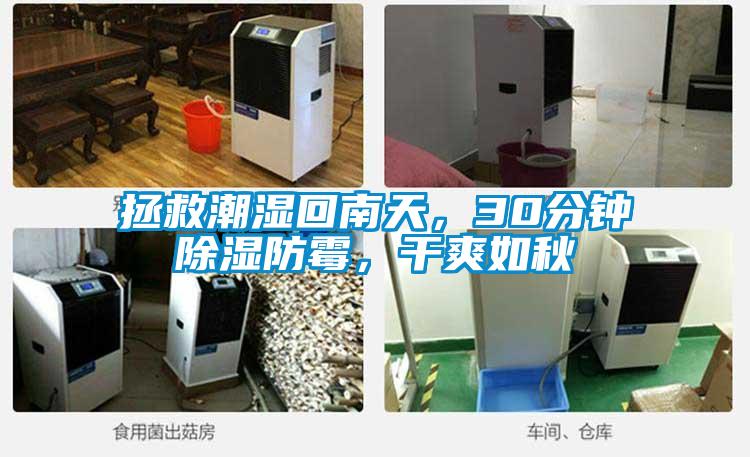 拯救潮濕回南天，30分鍾除濕防黴，幹爽如秋