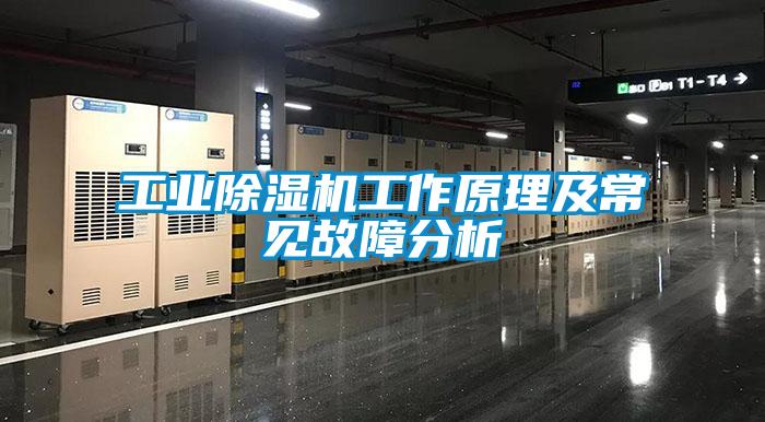 工業草莓视频下载网址工作原理及常見故障分析