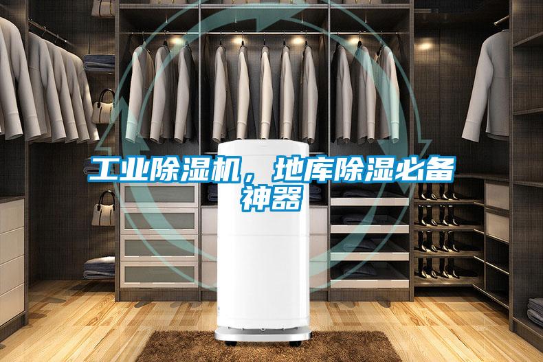 工業草莓视频下载网址，地庫除濕必備神器
