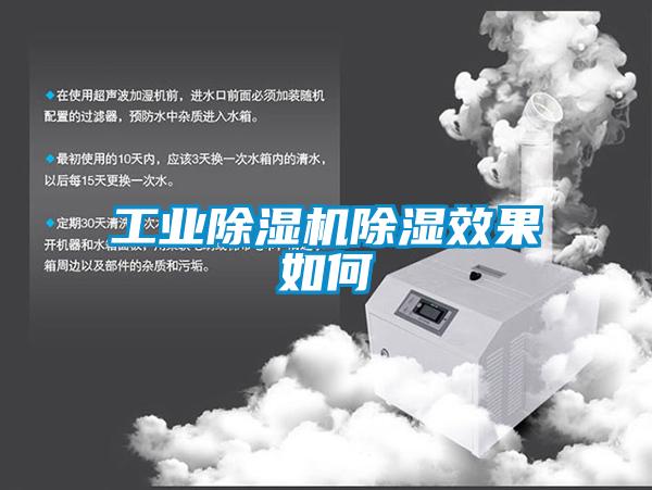 工業草莓视频下载网址除濕效果如何