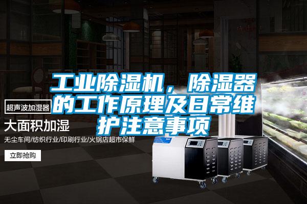 工業草莓视频下载网址，除濕器的工作原理及日常維護注意事項