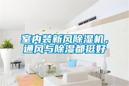 室內裝新風草莓视频下载网址，通風與除濕都挺好