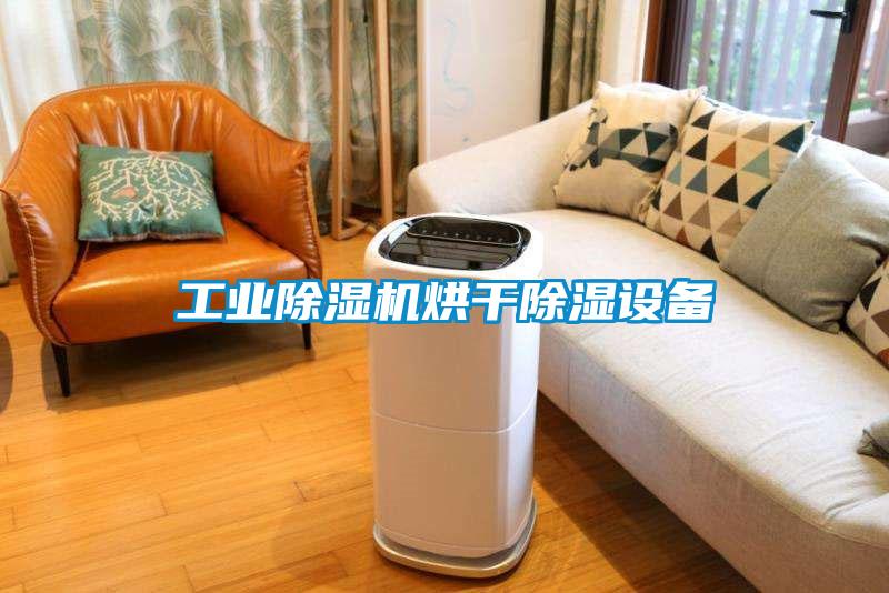 工業草莓视频下载网址烘幹除濕設備