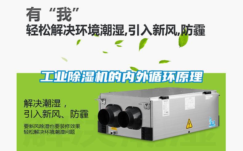 工業草莓视频下载网址的內外循環原理