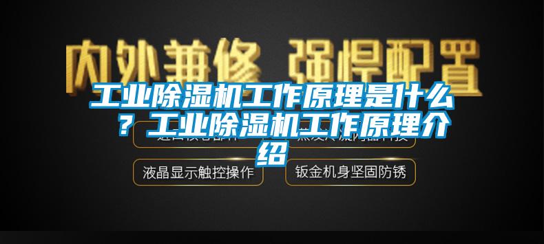 工業草莓视频下载网址工作原理是什麽 ？工業草莓视频下载网址工作原理介紹