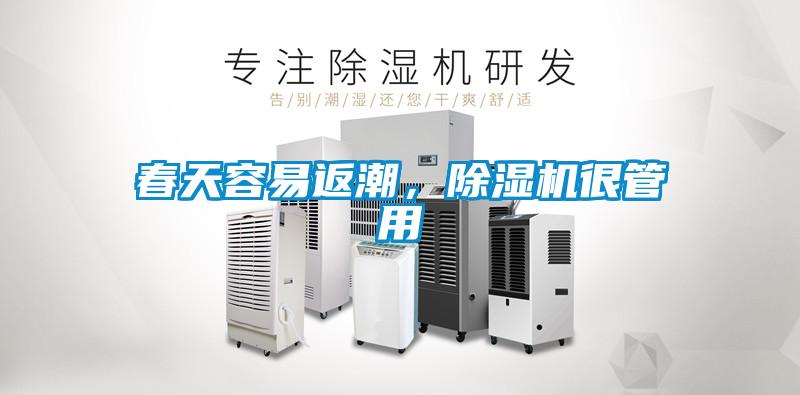 春天容易返潮，草莓视频下载网址很管用