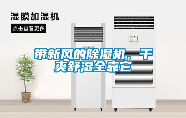 帶新風的草莓视频下载网址，幹爽舒濕全靠它